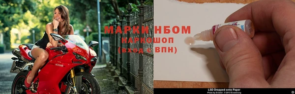 мяу мяу мука Аркадак