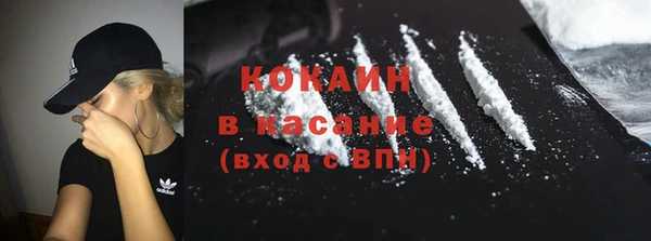 мяу мяу мука Аркадак