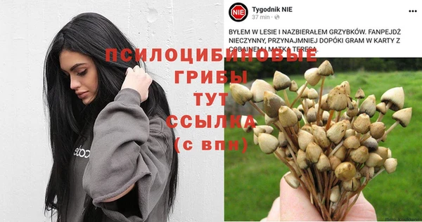крисы Армянск