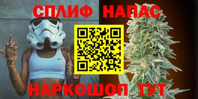 гидра Севастополь
